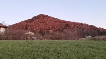 Expose Sonniges Baugrundstück mit unverbaubarer Aussicht - Ideal für Ihr Traumhaus oder Doppelhaus 