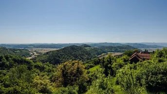 Weitläufige grüne Hügellandschaft mit Wäldern und Feldern unter blauem Himmel, ein Haus ist am Horizont sichtbar.