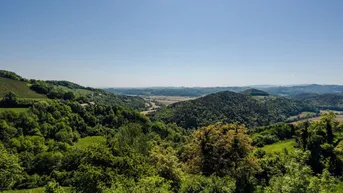 Expose Südsteirische Weinregion: Sonniger Baugrund mit Weitblick!