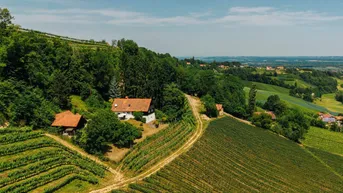 Expose Alleinlage, Weinberge, Weitblick und Idylle – Ihr Rückzugsort am Graßnitzberg!