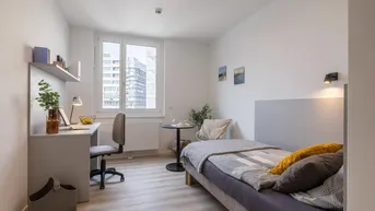 Expose Lumis Living Single Apartment - All in Miete
