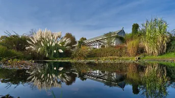 Expose Auszeit - Leben am Land in absoluter Ruhelage - Bungalow mit Gäste- und Bürotrakt sowie eigenem Weinkeller, Sauna/ Pool und weiteren Ländereien!