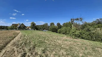 Expose Toller Baugrund in Fehring - Nähe Feldbach