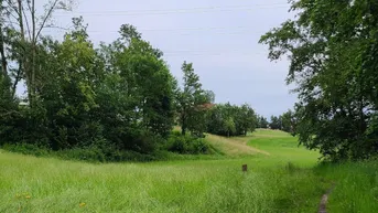 Expose Idyllischer Baugrund in Gonetsreith - Privatverkauf