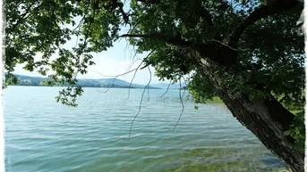 Idyllisches Seeufer mit klarem Wasser und grünen Bäumen unter einem strahlend blauen Himmel.
