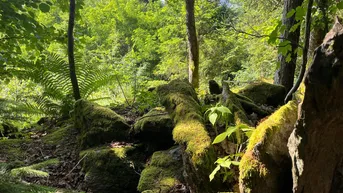 Expose Naturjuwel mit Baugrund im Landschaftsschutzgebiet "Moosburger Teichlandschaft"