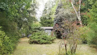 Expose Idyllisches Wald- und Wiesengrundstück mit kleinem Sommerhaus