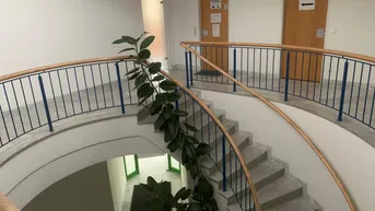 Expose Geschäftslokal oder Büro im 1. Stock - PROVISIONSFREI