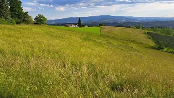 Expose Pferdeliebhaber aufgepasst: Top-Landwirtschaft in herrlicher Lage Nähe Graz