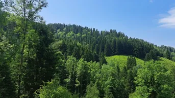 Expose Mischwald mit Wiesenfläche und 2 Fischteiche