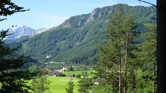 Expose 170 ha Bergmischwaldrevier mit Eigenjagd in Klaus a.d.P., OÖ; 13 ha Landwirtschaft (Grünland)