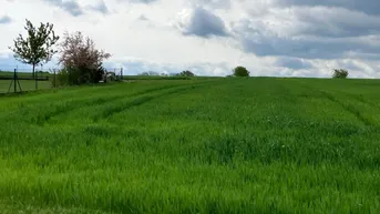 Expose Provisionsfrei: Traumgrundstück in Schleinz! Rechteckig, eben und sonnig, mitten im Grünen!