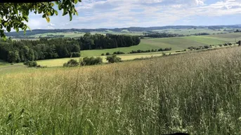 Expose * Einzigartiges Baugrundstück mit unverbaubarem Panoramablick *