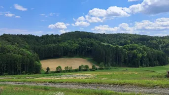 Expose Die eigene Ranch auf 9,2ha Grund und Wald verwirklichen (Provisionsfrei)