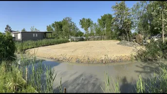 Expose Privatverkauf! Seegrundstück in Neusiedl am See – 543 qm (Provisionsfrei)