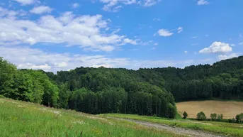 Expose Die eigene Ranch auf 9,2ha Grund und Wald verwirklichen (Provisionsfrei)