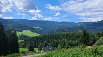 Expose Lust auf Alm? 3 Hebalm Grundstücke mit 4 bewilligten Ferienhäuser (Provisionsfrei)
