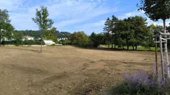 Expose Traumhaftes Grundstück in Eisenstadt am Oberberg – 729 qm für Ihr Bauprojekt (Provisionsfrei)