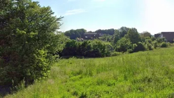 Expose Kitzeck: Baugrundstück 1.320 m² / PRIVAT (auch 2 Häuser möglich) (Provisionsfrei)