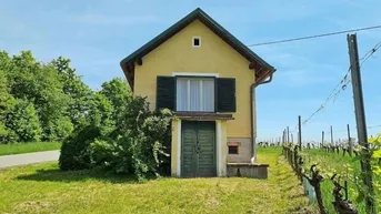 Expose Kellerstöckel mit Weingarten am Eisenberg (Provisionsfrei)