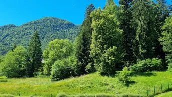 Expose Tauschen neuwertige 4-Raum-Wohnung mit Balkon in Bad Ischl gegen Haus/Baugrund