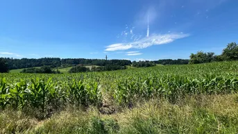 Expose Bauland im wunderschönen Kumberg mit Blick auf den schöckl 