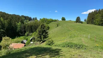 Expose Natur pur - alter Bergbauernhof in Alleinlage