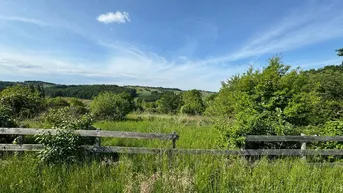 Expose Neusiedl/Güssing Berg