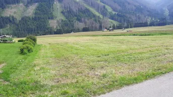 Expose Wunderschöner Baugrund in OBERTILLIACH in Osttirol 