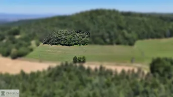 Expose Grundstücksidylle in Hochwolkersdorf