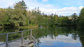 Expose Gemütliche 2 Zimmerwohnung am Teich