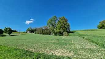 Expose Traumhaftes Grundstück in sonniger Südhanglage