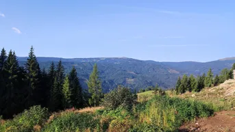 Expose  "Über den Wolken kann die Freiheit nur grenzenlos sein" Alpingrundstück auf 1.400 Metern Seehöhe!