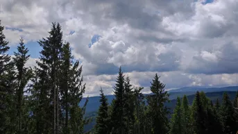 Expose  "Über den Wolken kann die Freiheit nur grenzenlos sein" Alpingrundstück auf 1.400 Metern Seehöhe!
