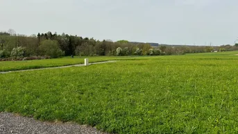 Expose Sonniges Grundstück mit tollem Ausblick in Wippenham