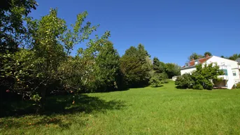 Ausgedehnte Rasenfläche mit einem Wohnhaus am rechten Bildrand und altem Baumbestand im Hintergrund.