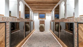 Expose Kaiserblick Lodge – Gartenwohnung mit privatem Swimmingpool