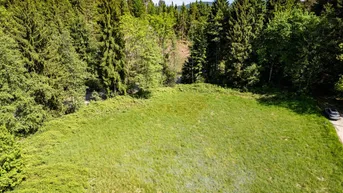 Expose Traumhafter Grund in idyllischer Lage - ideal zur Errichtung eines Eigenheims - rd. 6000 m² Grund mit Punktwidmung in Maria Saal, Kärnten