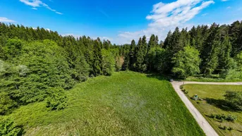 Expose Traumhafter Grund in idyllischer Lage - ideal zur Errichtung eines Eigenheims - rd. 6000 m² Grund mit Punktwidmung in Maria Saal, Kärnten
