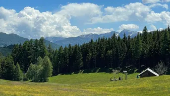 Expose Almhütte in absoluter Alleinlage in Osttirol zur Weiterverpachtung