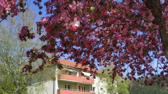 Expose Privatverkauf! 2-Zimmer-Wohnung mit Einbauküche und großer Loggia