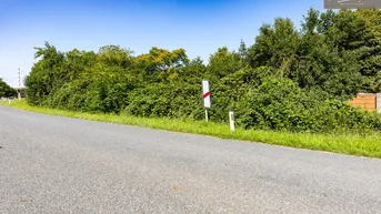 Expose Grundstück in Drösing – 1.178 m² mit großzügiger Grünfläche!