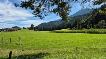 Expose Traumhafte Bauparzellen ab 57060 Euro in sonniger Ruhelage Berg im Drautal