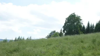 Expose RARITÄT AUF DER ALM - NÄHE WEINEBENE