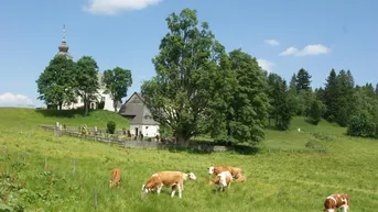 Expose RARITÄT AUF DER ALM
