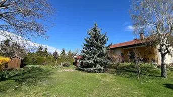 Expose Traumhaus mit Garten in Stadtnähe von Wr Neustadt / südlich von Wien / Wien Umgebung