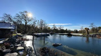 Expose Luxus inmitten der Natur - Einzigartiger Dreikanthof mit Schwimmteich Naturgrundstück auf 17.000 QM - Provisionsfrei