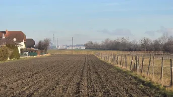 Expose NEU. Liegenschaft mit Blick auf Wien in Ruhelage.