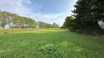 Expose Grundstück für Bauträger in Königstetten