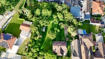 Luftaufnahme eines großen Grundstücks mit Baumbestand und umgebenden Wohnhäusern, gelb umrandet.